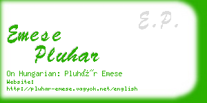 emese pluhar business card